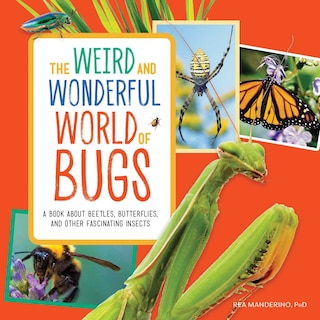 Front cover_The Weird And Wonderful World Of Bugs