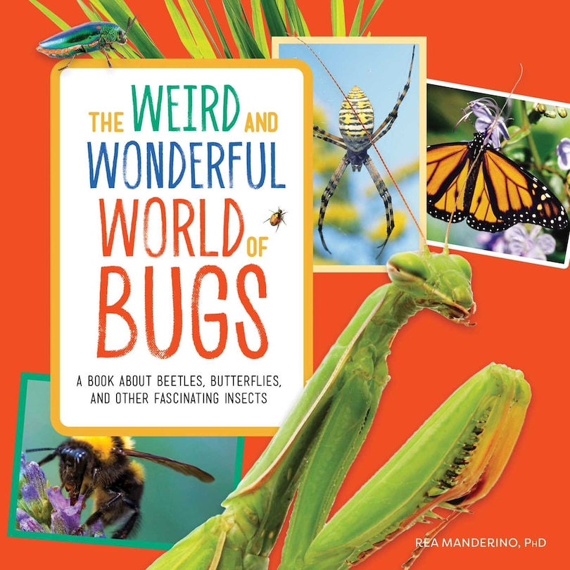 Front cover_The Weird And Wonderful World Of Bugs