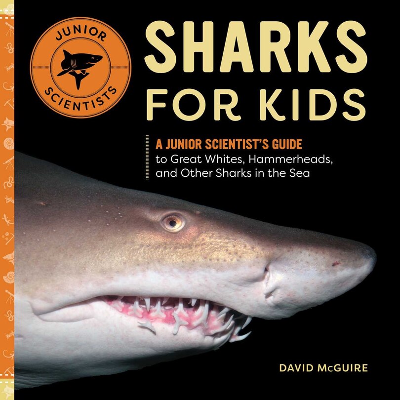 Front cover_Sharks For Kids