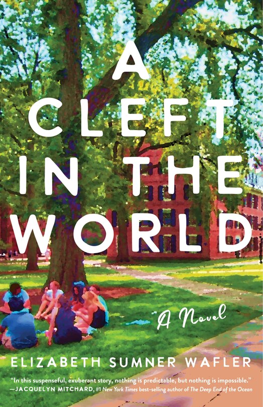Front cover_A Cleft in the World