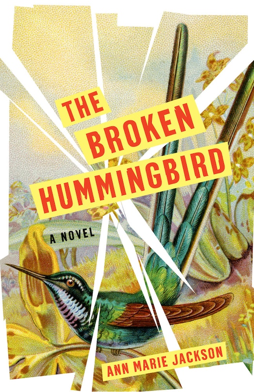 Front cover_The Broken Hummingbird
