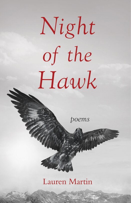 Front cover_Night of the Hawk