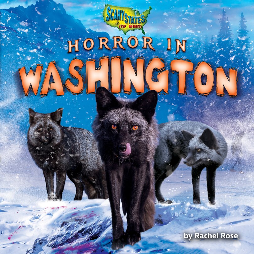 Couverture_Horror in Washington