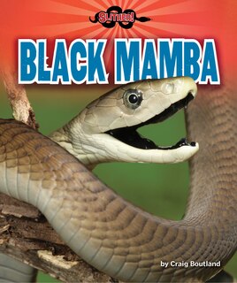 Couverture_Black Mamba
