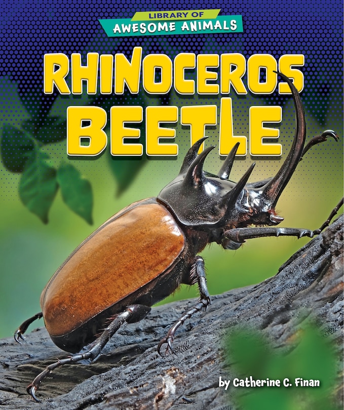 Couverture_Rhinoceros Beetle