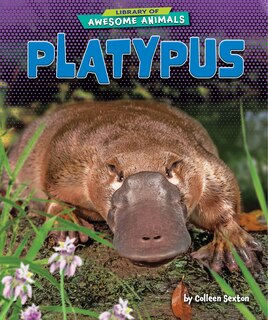 Couverture_Platypus