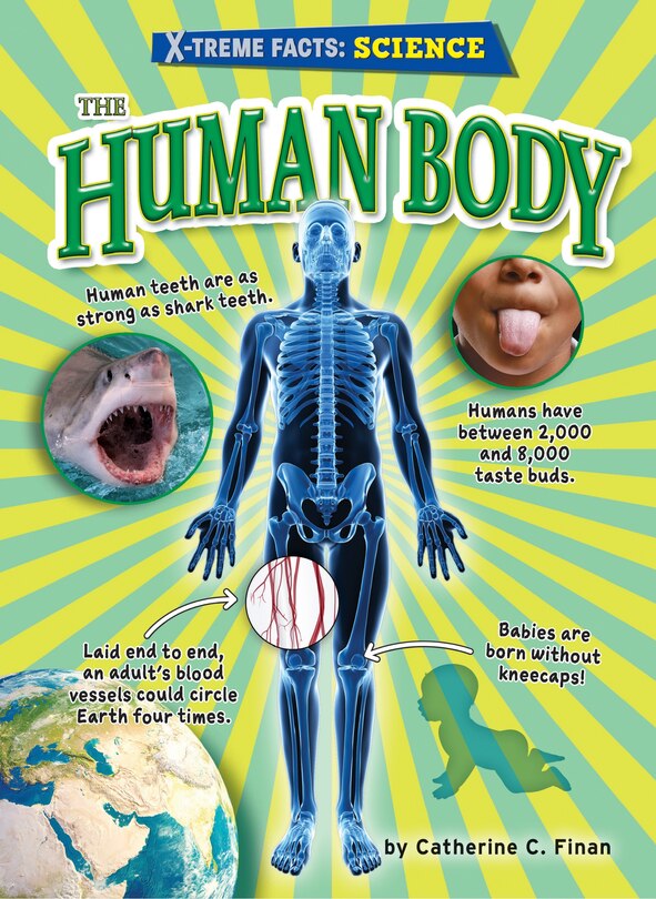 Couverture_The Human Body