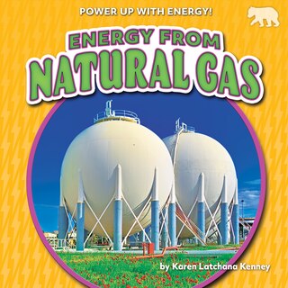 Couverture_Energy from Natural Gas