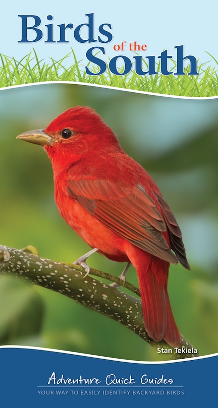 Couverture_Birds Of The South