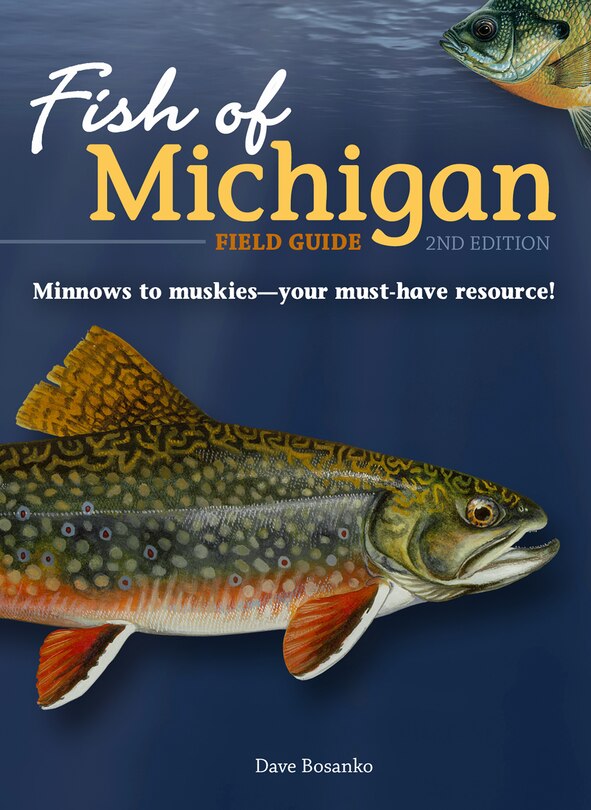 Front cover_Fish Of Michigan Field Guide