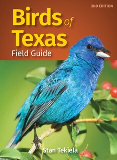 Front cover_Birds Of Texas Field Guide
