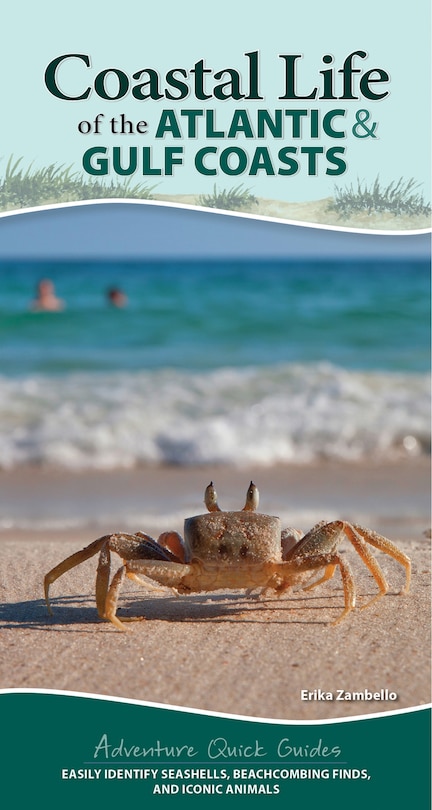Couverture_Coastal Life Of The Atlantic And Gulf Coasts
