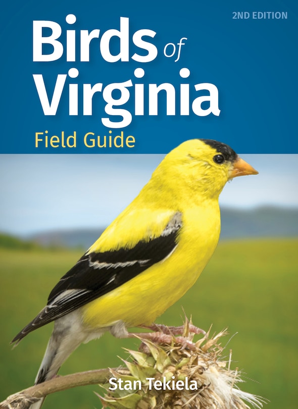 Front cover_Birds of Virginia Field Guide