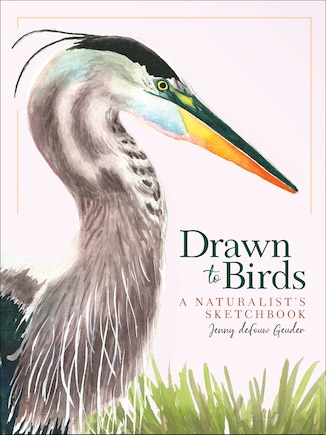 Drawn To Birds: A Naturalist's Sketchbook