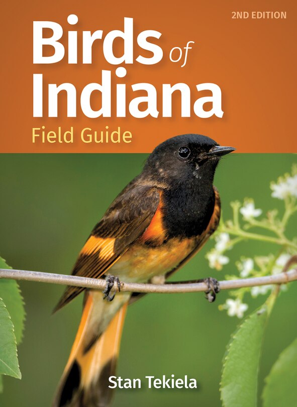 Front cover_Birds Of Indiana Field Guide