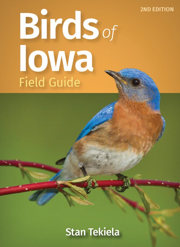 Front cover_Birds Of Iowa Field Guide