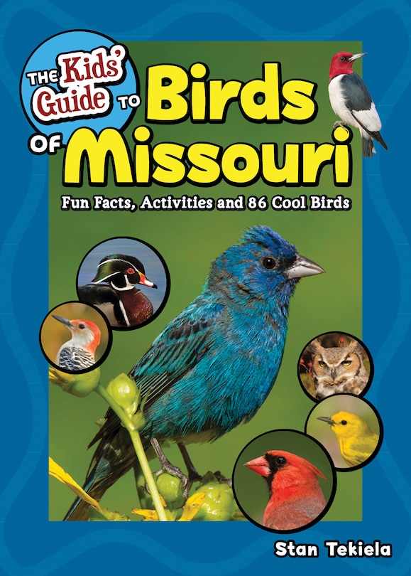 Front cover_The Kids' Guide To Birds Of Missouri