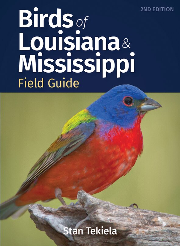 Front cover_Birds of Louisiana & Mississippi Field Guide