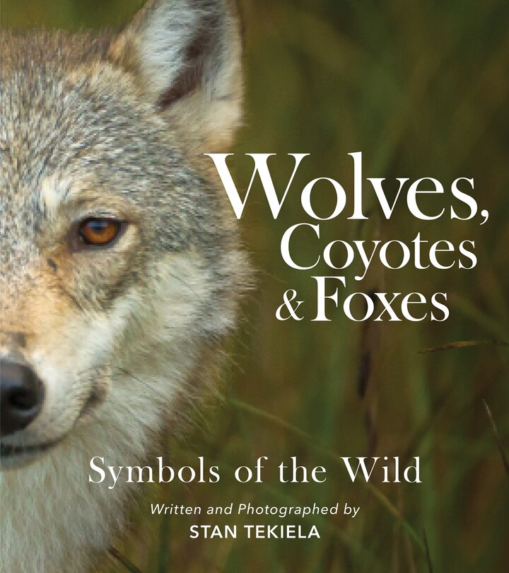 Couverture_Wolves, Coyotes & Foxes