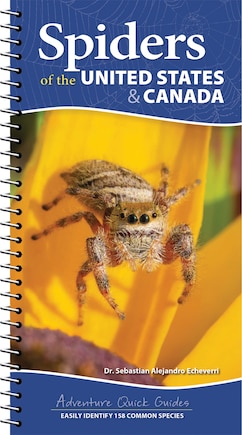 Spiders of the United States & Canada: Easily Identify 153 Common Species