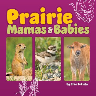 Front cover_Prairie Mamas & Babies