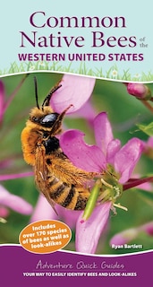 Front cover_Common Native Bees of the Western United States