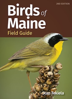 Couverture_Birds of Maine Field Guide