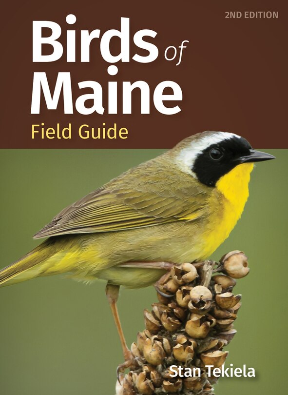 Couverture_Birds of Maine Field Guide