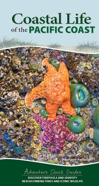 Coastal Life of the Pacific Coast: Discover Tidepools and Identify Beachcombing Finds and Iconic Wildlife