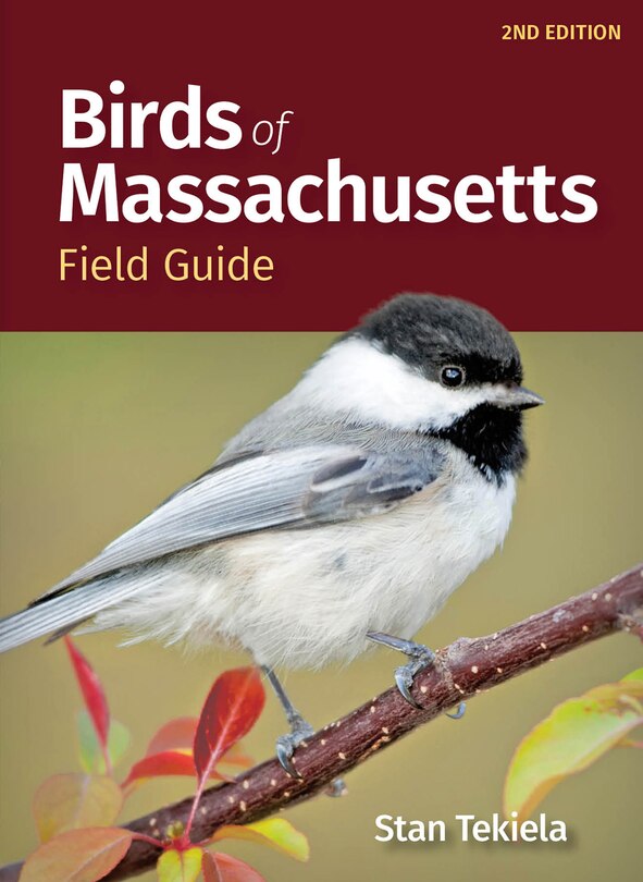 Front cover_Birds of Massachusetts Field Guide