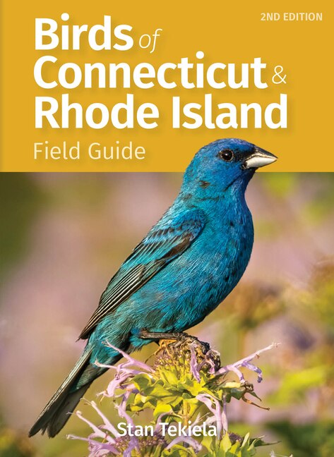 Front cover_Birds of Connecticut & Rhode Island Field Guide
