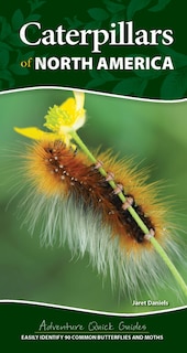 Front cover_Caterpillars of North America