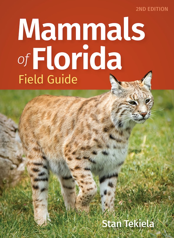 Front cover_Mammals of Florida Field Guide