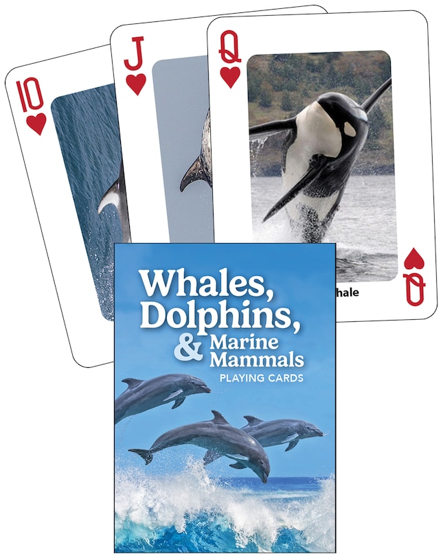 Front cover_Whales, Dolphins, and Marine Mammals Playing Cards