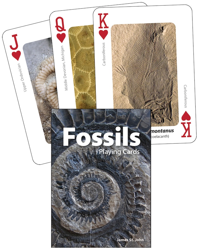 Front cover_Fossils Playing Cards