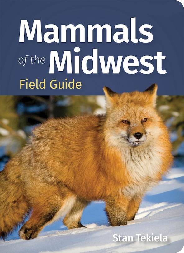 Front cover_Mammals of the Midwest Field Guide