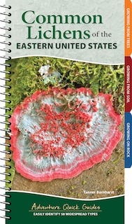 Front cover_Common Lichens of the Eastern United States