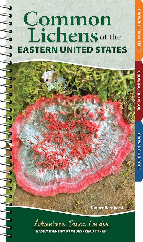 Front cover_Common Lichens of the Eastern United States