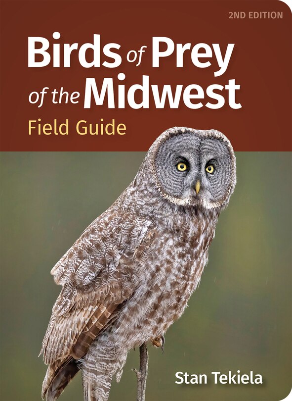 Couverture_Birds of Prey of the Midwest Field Guide