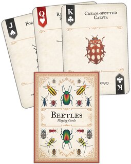 Couverture_Beetles Playing Cards