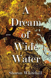 Couverture_A Dream of Wide Water