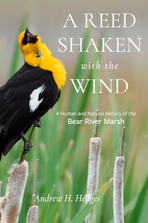 Front cover_A Reed Shaken with the Wind