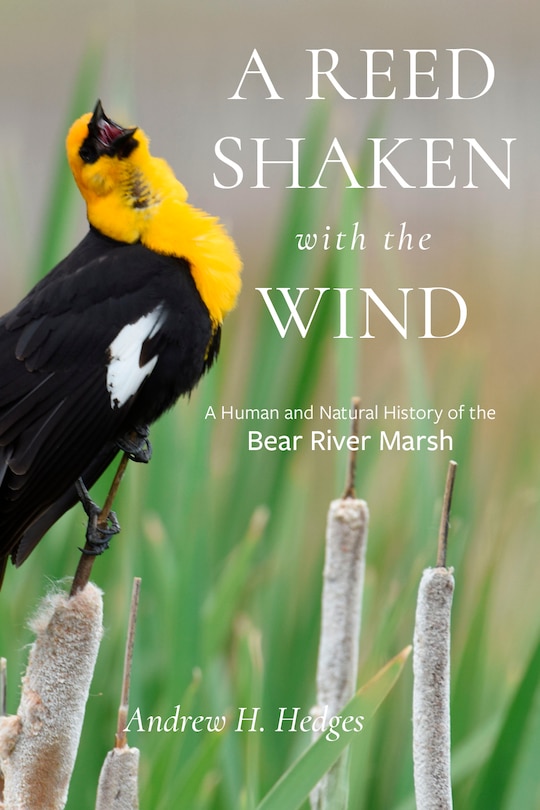 Front cover_A Reed Shaken with the Wind