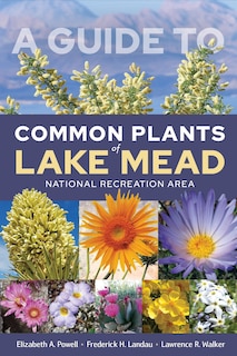 Front cover_A Guide to Common Plants of Lake Mead National Recreation Area