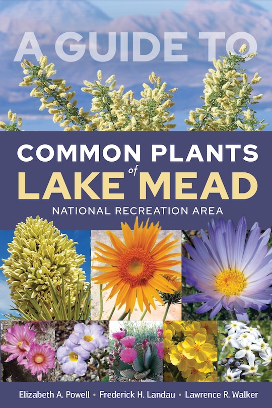 Front cover_A Guide to Common Plants of Lake Mead National Recreation Area