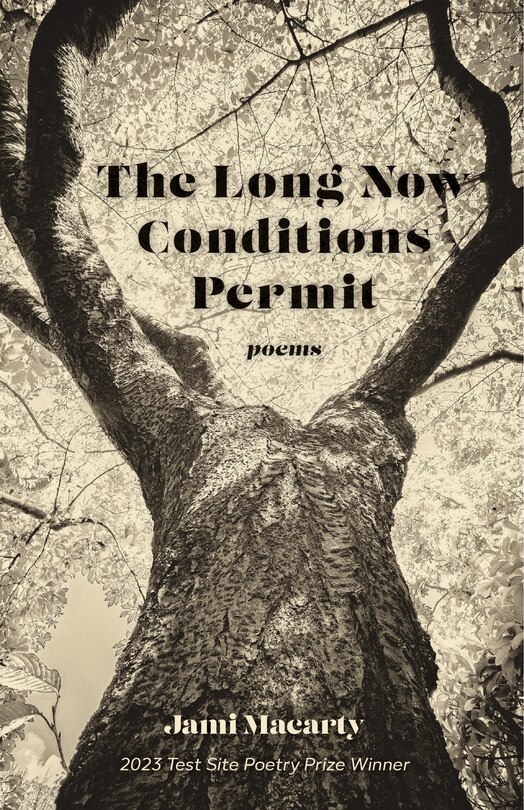 Couverture_The Long Now Conditions Permit
