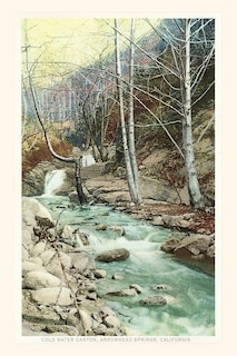 Couverture_The Vintage Journal Cold Water Canyon, Arrowhead Springs, California
