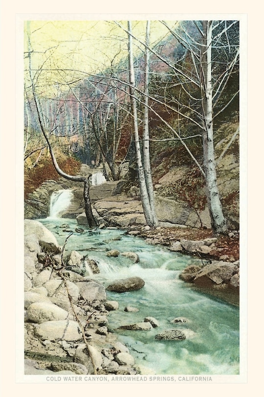 Couverture_The Vintage Journal Cold Water Canyon, Arrowhead Springs, California