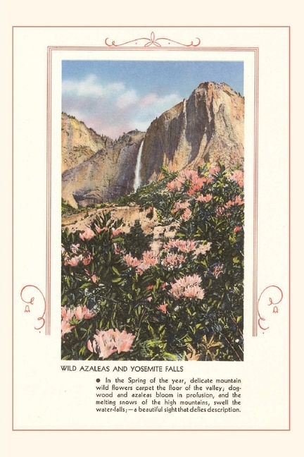 Front cover_The Vintage Journal Wild Azaleas at Yosemite