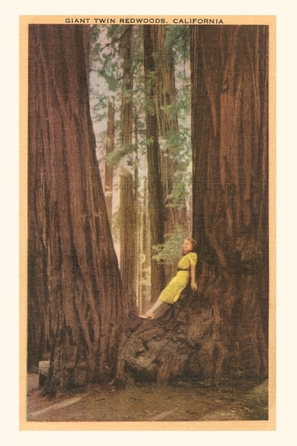 Front cover_The Vintage Journal Girl in Nook of Twin Redwood Trees